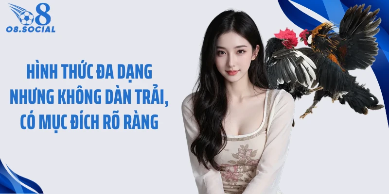 Hình thức đa dạng nhưng không dàn trải, có mục đích rõ ràng