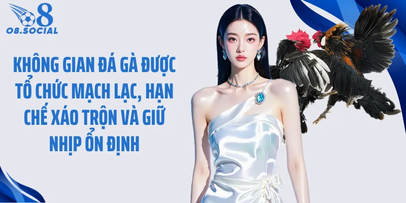 Không gian đá gà được tổ chức mạch lạc, hạn chế xáo trộn và giữ nhịp ổn định