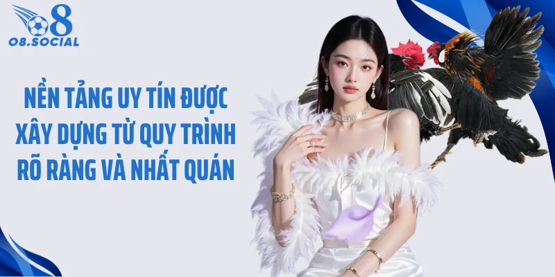 Nền tảng uy tín được xây dựng từ quy trình rõ ràng và nhất quán