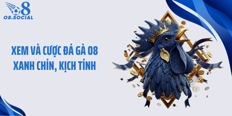 Xem và cược đá gà O8 xanh chín, kịch tính