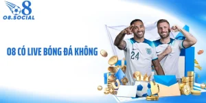 O8 Có Live Bóng Đá Không